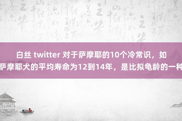 白丝 twitter 对于萨摩耶的10个冷常识，如萨摩耶犬的平均寿命为12到14年，是比拟龟龄的一种