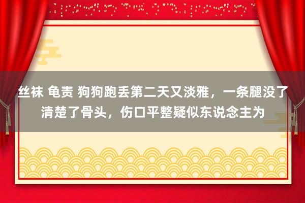 丝袜 龟责 狗狗跑丢第二天又淡雅，一条腿没了清楚了骨头，伤口平整疑似东说念主为