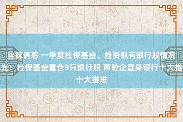 丝袜诱惑 一季度社保基金、险资抓有银行股情况曝光：社保基金重仓9只银行股 两险企置身银行十大推进