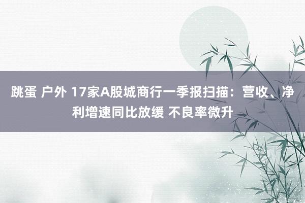 跳蛋 户外 17家A股城商行一季报扫描：营收、净利增速同比放缓 不良率微升