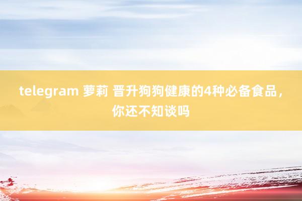 telegram 萝莉 晋升狗狗健康的4种必备食品，你还不知谈吗