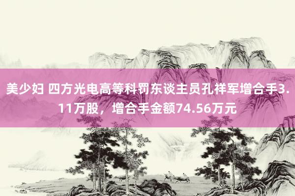 美少妇 四方光电高等科罚东谈主员孔祥军增合手3.11万股，增合手金额74.56万元