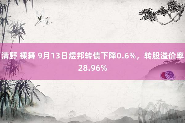 清野 裸舞 9月13日煜邦转债下降0.6%，转股溢价率28.96%