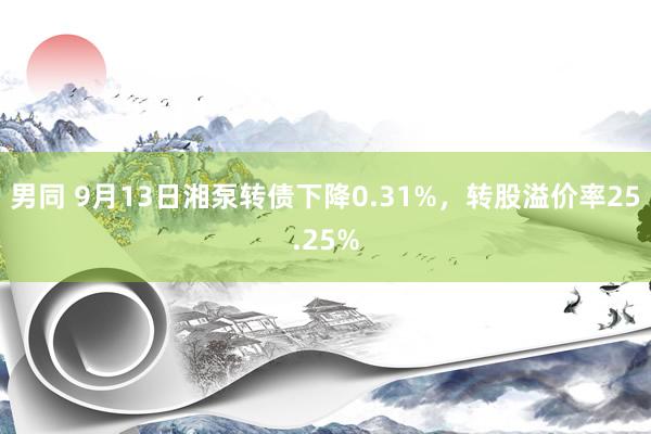 男同 9月13日湘泵转债下降0.31%，转股溢价率25.25%