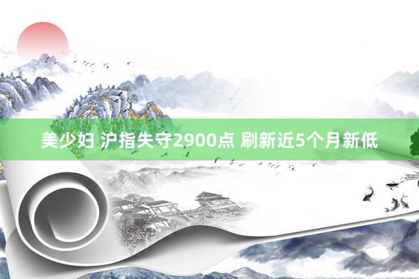 美少妇 沪指失守2900点 刷新近5个月新低