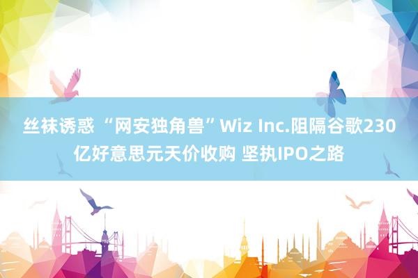 丝袜诱惑 “网安独角兽”Wiz Inc.阻隔谷歌230亿好意思元天价收购 坚执IPO之路