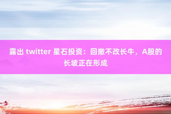 露出 twitter 星石投资：回撤不改长牛，A股的长坡正在形成