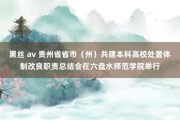 黑丝 av 贵州省省市（州）共建本科高校处置体制改良职责总结会在六盘水师范学院举行