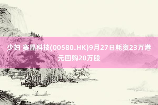 少妇 赛晶科技(00580.HK)9月27日耗资23万港元回购20万股