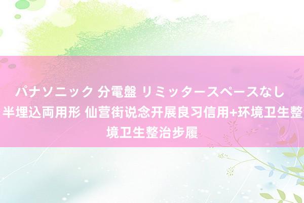 パナソニック 分電盤 リミッタースペースなし 露出・半埋込両用形 仙营街说念开展良习信用+环境卫生整治步履