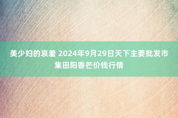 美少妇的哀羞 2024年9月29日天下主要批发市集田阳香芒价钱行情