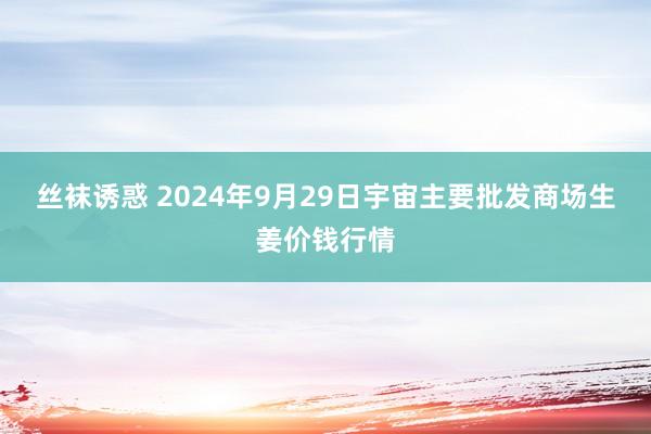 丝袜诱惑 2024年9月29日宇宙主要批发商场生姜价钱行情