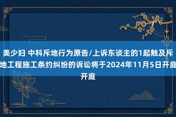 美少妇 中科斥地行为原告/上诉东谈主的1起触及斥地工程施工条约纠纷的诉讼将于2024年11月5日开庭