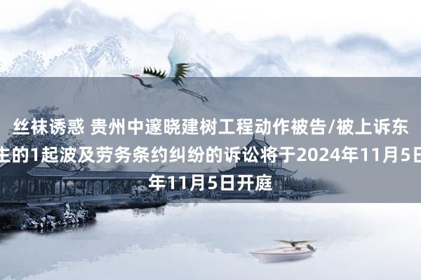 丝袜诱惑 贵州中邃晓建树工程动作被告/被上诉东说念主的1起波及劳务条约纠纷的诉讼将于2024年11月5日开庭