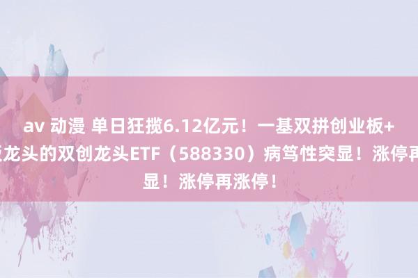 av 动漫 单日狂揽6.12亿元！一基双拼创业板+科创板龙头的双创龙头ETF（588330）病笃性突显！涨停再涨停！