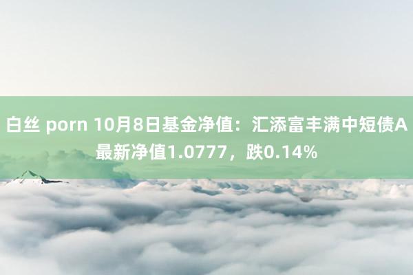 白丝 porn 10月8日基金净值：汇添富丰满中短债A最新净值1.0777，跌0.14%