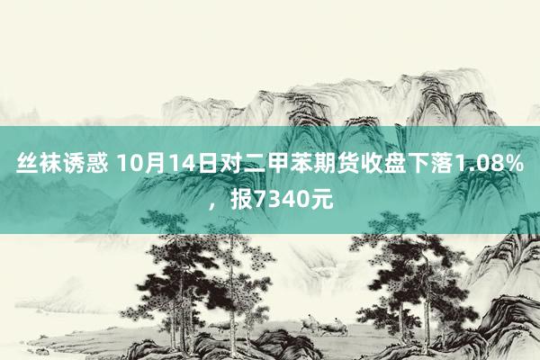 丝袜诱惑 10月14日对二甲苯期货收盘下落1.08%，报7340元