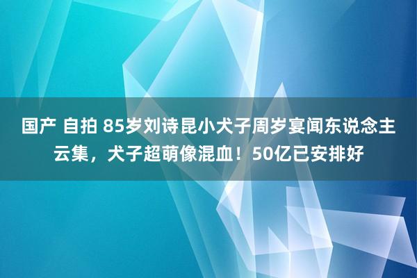 国产 自拍 85岁刘诗昆小犬子周岁宴闻东说念主云集，犬子超萌像混血！50亿已安排好