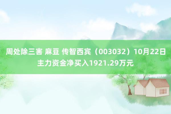 周处除三害 麻豆 传智西宾（003032）10月22日主力资金净买入1921.29万元