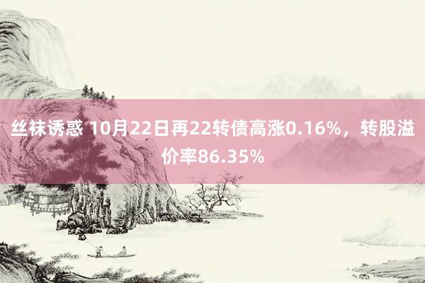 丝袜诱惑 10月22日再22转债高涨0.16%，转股溢价率86.35%