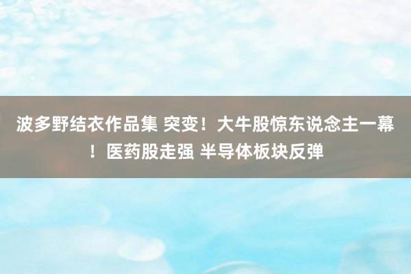 波多野结衣作品集 突变！大牛股惊东说念主一幕！医药股走强 半导体板块反弹