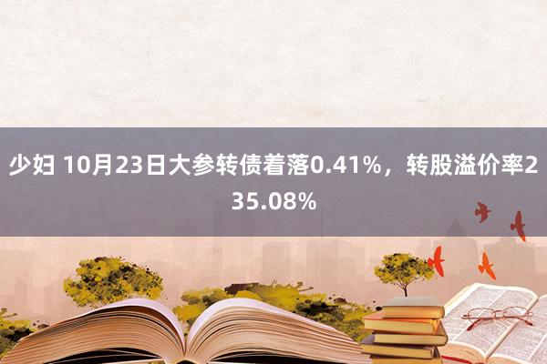 少妇 10月23日大参转债着落0.41%，转股溢价率235.08%