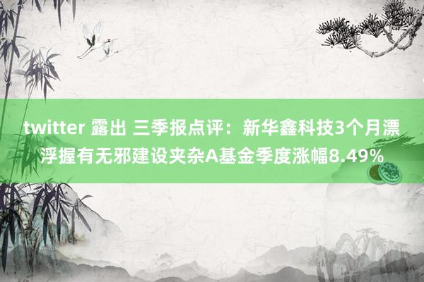 twitter 露出 三季报点评：新华鑫科技3个月漂浮握有无邪建设夹杂A基金季度涨幅8.49%