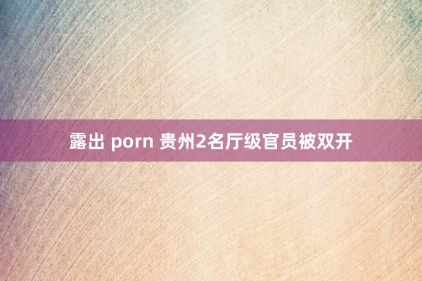 露出 porn 贵州2名厅级官员被双开