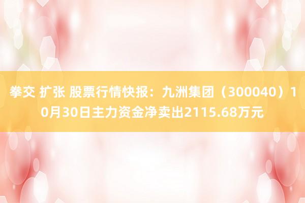 拳交 扩张 股票行情快报：九洲集团（300040）10月30日主力资金净卖出2115.68万元