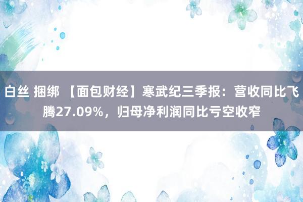 白丝 捆绑 【面包财经】寒武纪三季报：营收同比飞腾27.09%，归母净利润同比亏空收窄