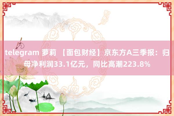 telegram 萝莉 【面包财经】京东方A三季报：归母净利润33.1亿元，同比高潮223.8%