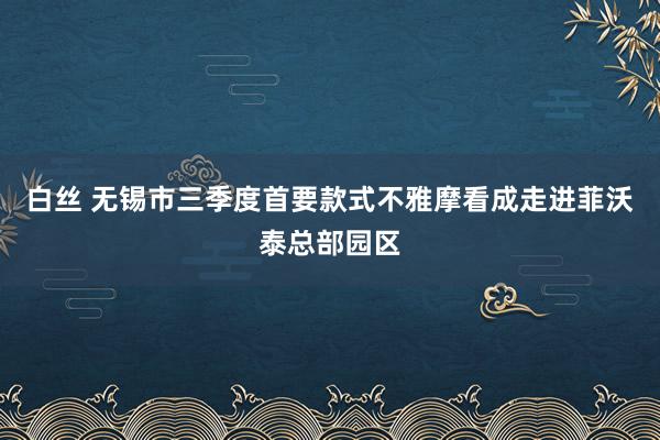 白丝 无锡市三季度首要款式不雅摩看成走进菲沃泰总部园区