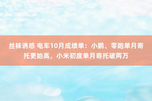 丝袜诱惑 电车10月成绩单：小鹏、零跑单月寄托更始高，小米初度单月寄托破两万