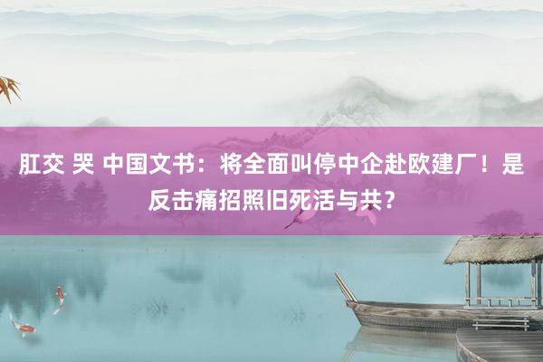 肛交 哭 中国文书：将全面叫停中企赴欧建厂！是反击痛招照旧死活与共？