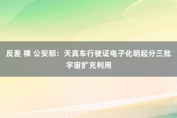 反差 裸 公安部：天真车行驶证电子化明起分三批宇宙扩充利用