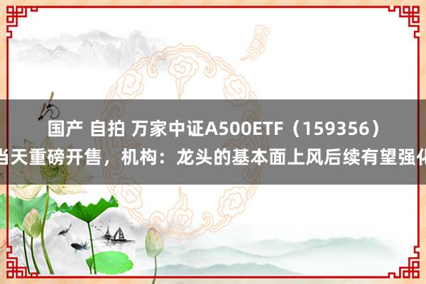 国产 自拍 万家中证A500ETF（159356）当天重磅开售，机构：龙头的基本面上风后续有望强化