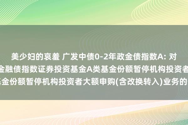 美少妇的哀羞 广发中债0-2年政金债指数A: 对于广发中债0-2年战略性金融债指数证券投资基金A类基金份额暂停机构投资者大额申购(含改换转入)业务的公告