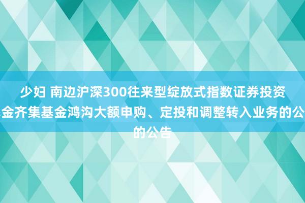 少妇 南边沪深300往来型绽放式指数证券投资基金齐集基金鸿沟大额申购、定投和调整转入业务的公告