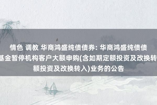 情色 调教 华商鸿盛纯债债券: 华商鸿盛纯债债券型证券投资基金暂停机构客户大额申购(含如期定额投资及改换转入)业务的公告