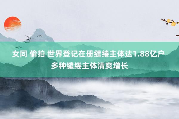 女同 偷拍 世界登记在册缱绻主体达1.88亿户 多种缱绻主体清爽增长