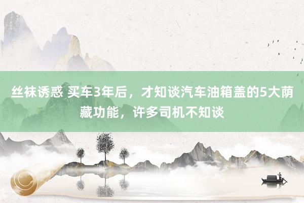 丝袜诱惑 买车3年后，才知谈汽车油箱盖的5大荫藏功能，许多司机不知谈