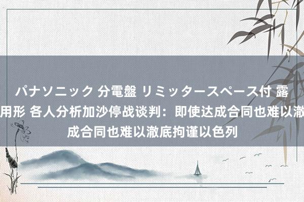 パナソニック 分電盤 リミッタースペース付 露出・半埋込両用形 各人分析加沙停战谈判：即使达成合同也难以澈底拘谨以色列