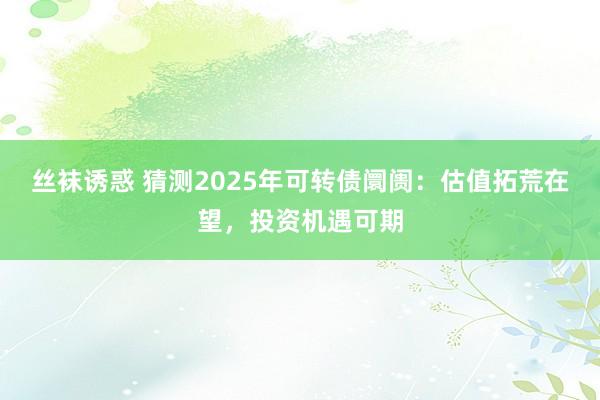 丝袜诱惑 猜测2025年可转债阛阓：估值拓荒在望，投资机遇可期