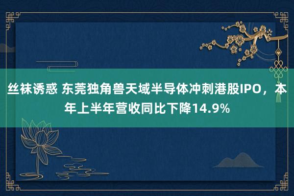 丝袜诱惑 东莞独角兽天域半导体冲刺港股IPO，本年上半年营收同比下降14.9%