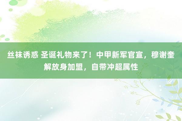 丝袜诱惑 圣诞礼物来了！中甲新军官宣，穆谢奎解放身加盟，自带冲超属性