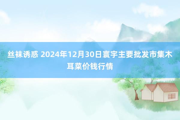 丝袜诱惑 2024年12月30日寰宇主要批发市集木耳菜价钱行情