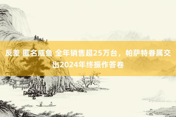 反差 匿名咸鱼 全年销售超25万台，帕萨特眷属交出2024年终振作答卷