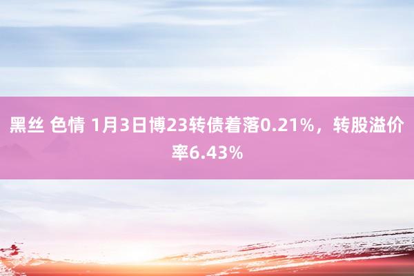 黑丝 色情 1月3日博23转债着落0.21%，转股溢价率6.43%