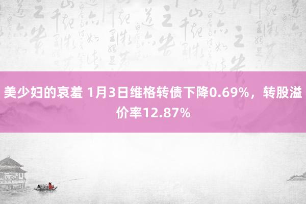 美少妇的哀羞 1月3日维格转债下降0.69%，转股溢价率12.87%