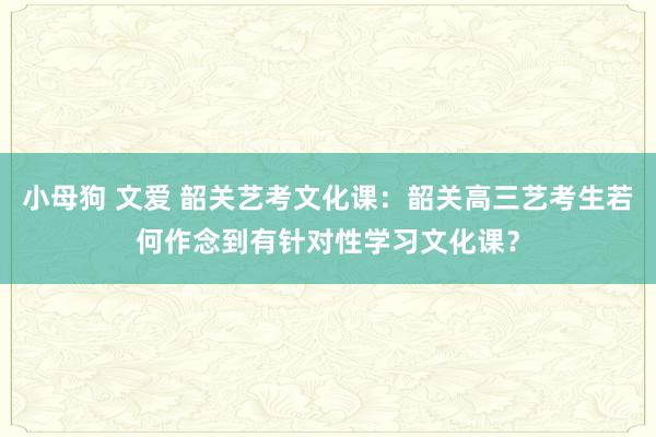 小母狗 文爱 韶关艺考文化课：韶关高三艺考生若何作念到有针对性学习文化课？